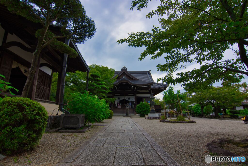 深緑の橘寺