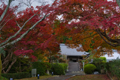 錦秋～九品寺　其の弐