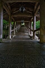 本堂へ向かう道
