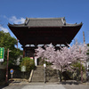 春の仁王門～當麻寺