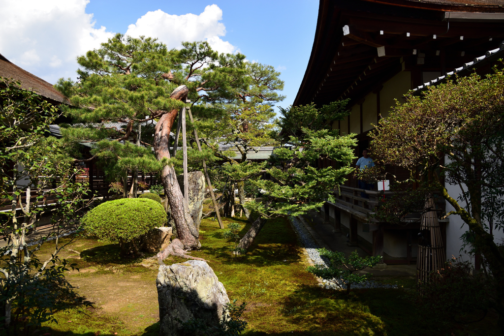 明智陣屋からの中庭