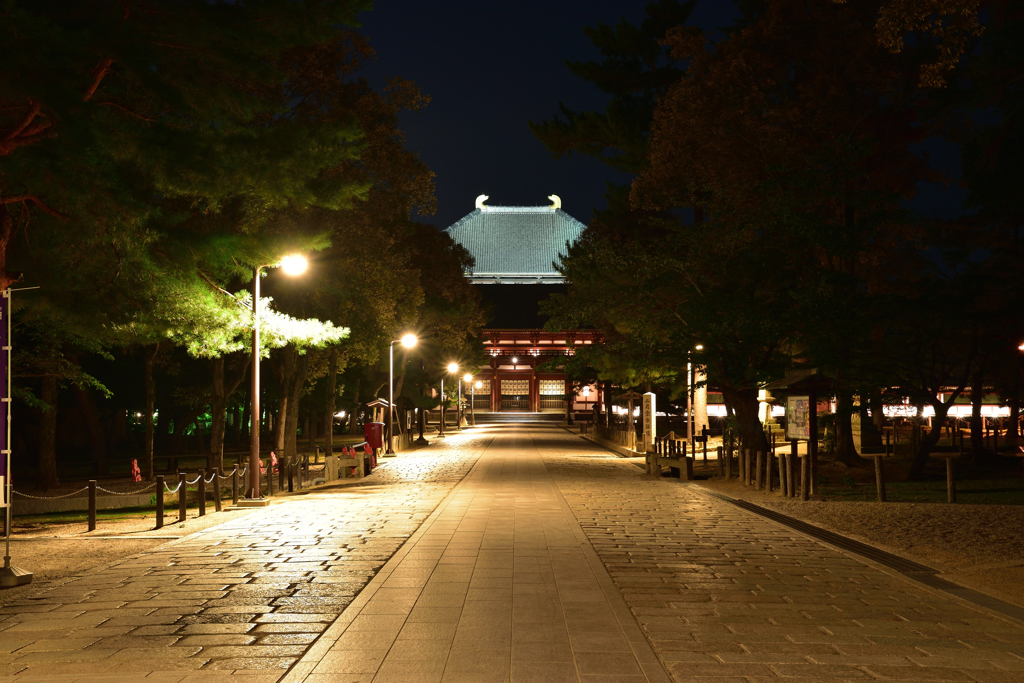 闇夜の大仏殿③