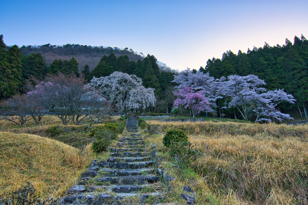山寺に訪れる春