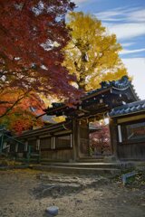 秋空の下で・・・