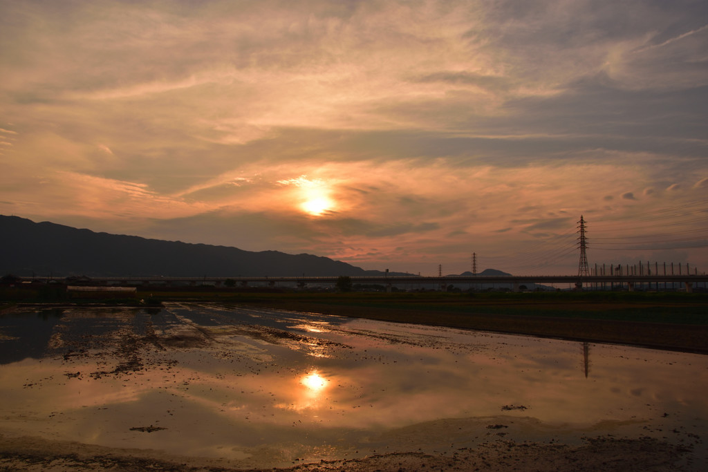 田植え間近の夕景