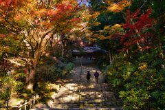 錦秋～鎧坂を彩る