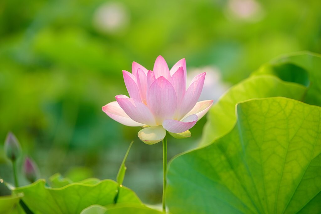sacredness