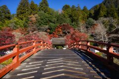錦秋の室生寺　其の弐