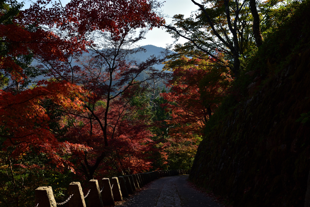 高城山にて②