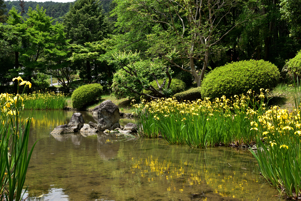 九品寺　十徳園②