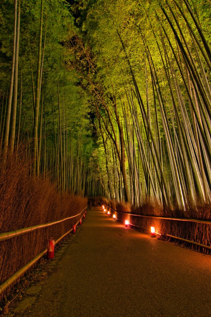 竹林の小径～嵐山花灯路