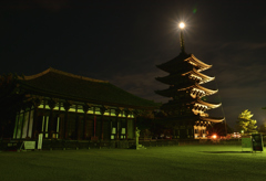 月夜と奈良のシンボル