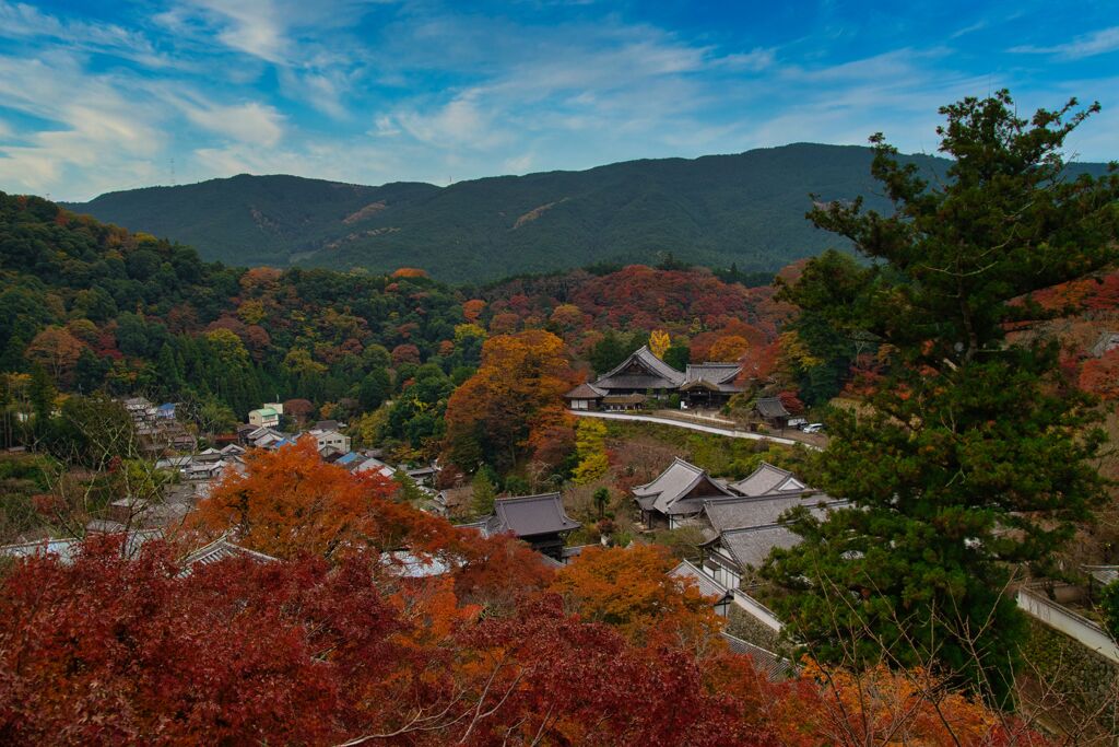 嗚呼　長谷寺　良きかな♪