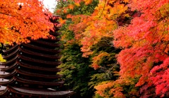 Re談山神社  ①