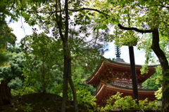 霊山寺　三重塔が　チラッ