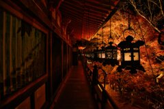 錦秋の拝殿　弐