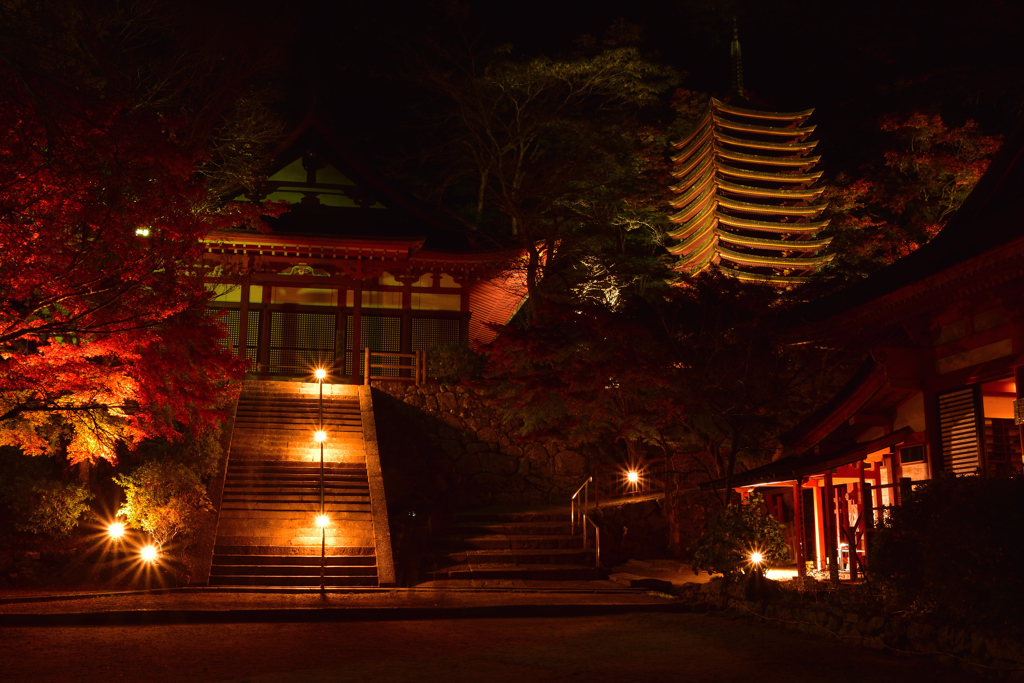 Tanzan Shrine～illumination②
