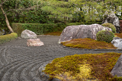 陰の庭　退蔵院にて