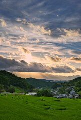 薄明光線が降る