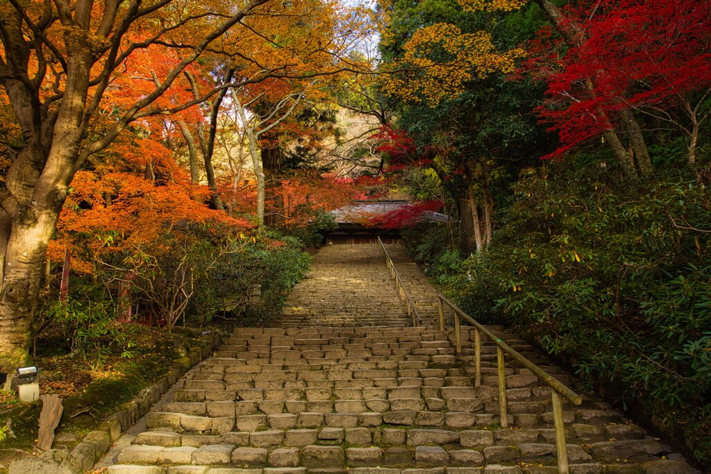 23’秋　紅葉の室生寺　参