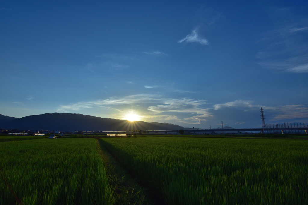 夏の終わり。。。。
