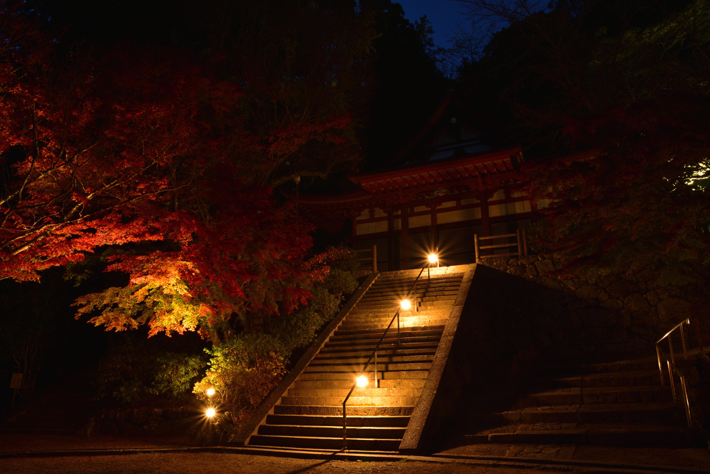 Tanzan Shrine～illumination③