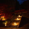Tanzan Shrine～illumination③