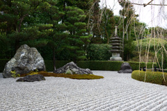 陽の庭　退蔵院