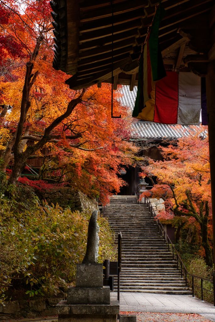晩秋～紅葉の長谷寺　弐