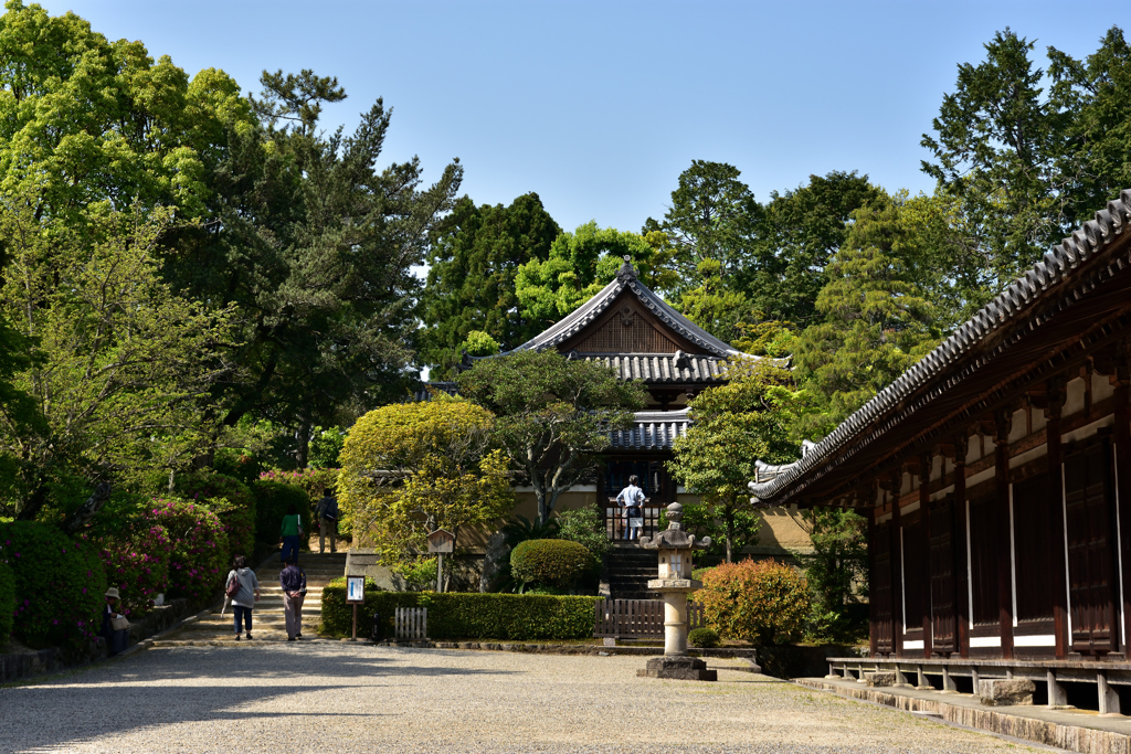 講堂横からの開山堂