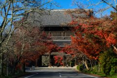 紅葉トンネルの先に・・