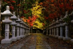 錦秋～紅葉の英霊殿　其の弐