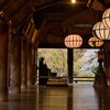 桜色の本堂　壱
