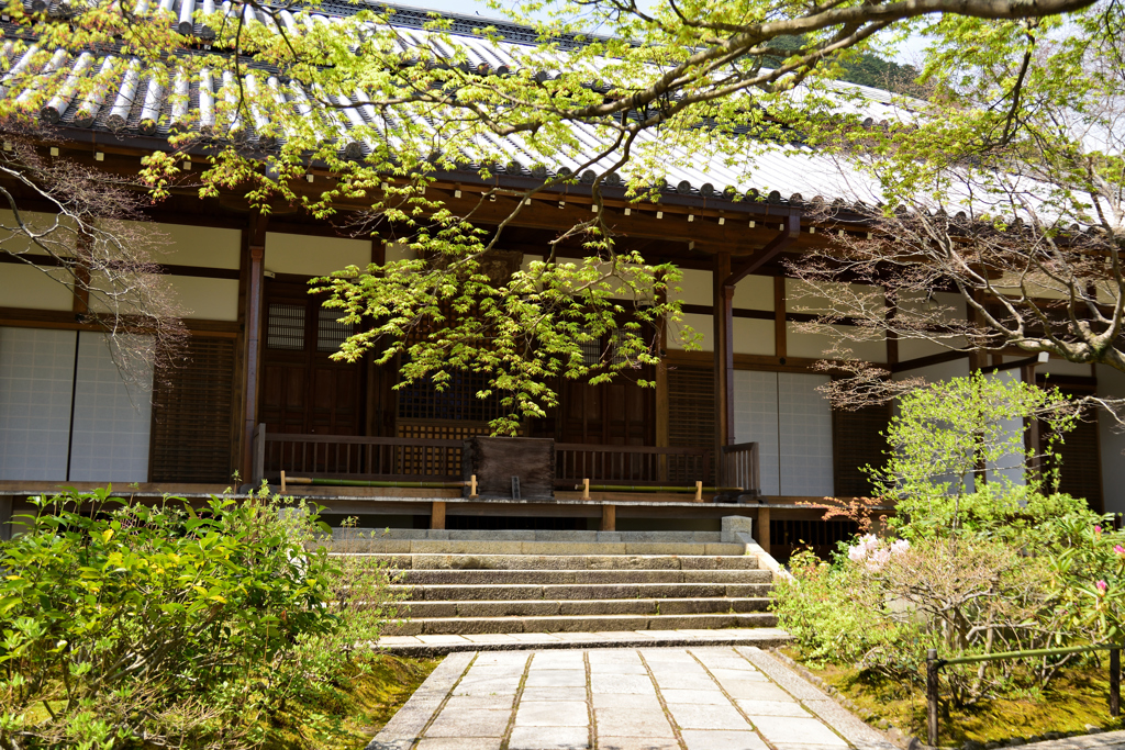 常寂光寺　本堂