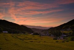 実りの秋～細川　其の弐