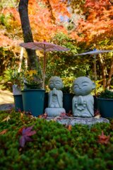 手を合わせて・・・