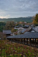 始まり・・春の長谷寺