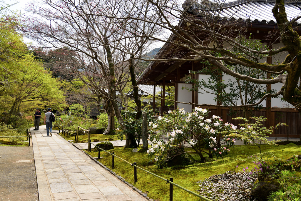 常寂光寺　庫裏前より