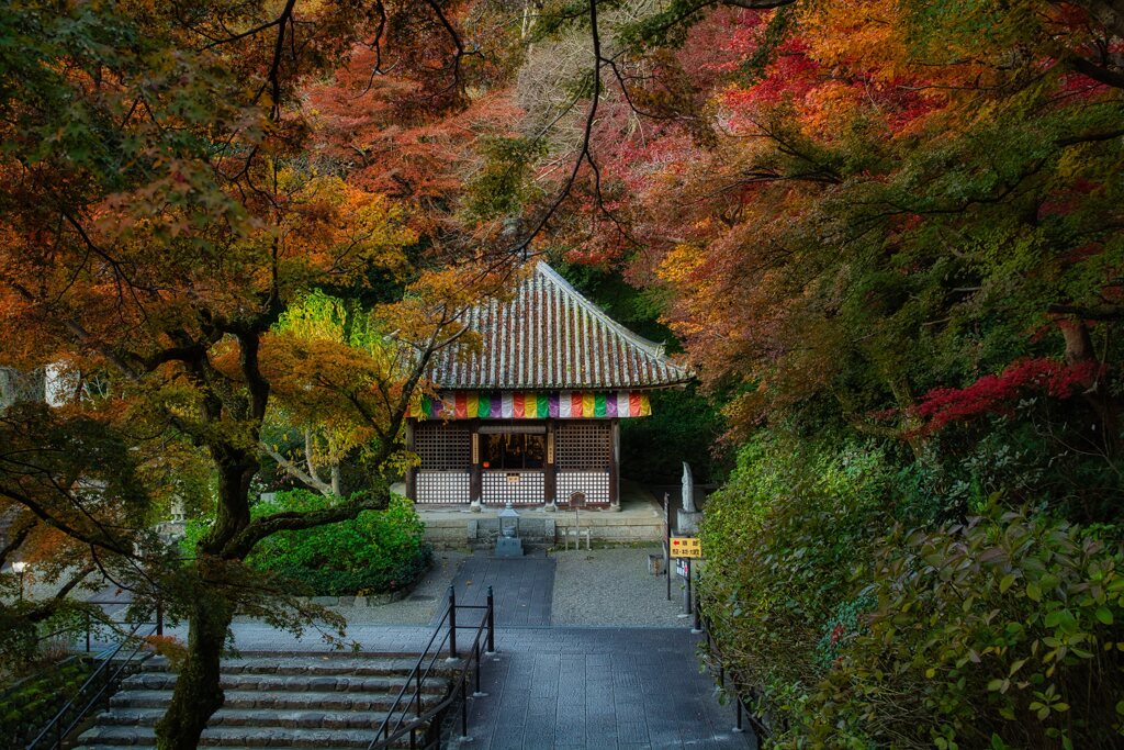 23’錦秋の長谷寺　参