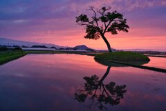 古宮の水鏡