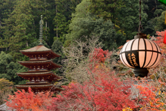 紅葉の長谷寺　五重塔