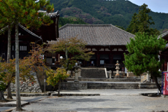 初秋の当麻寺