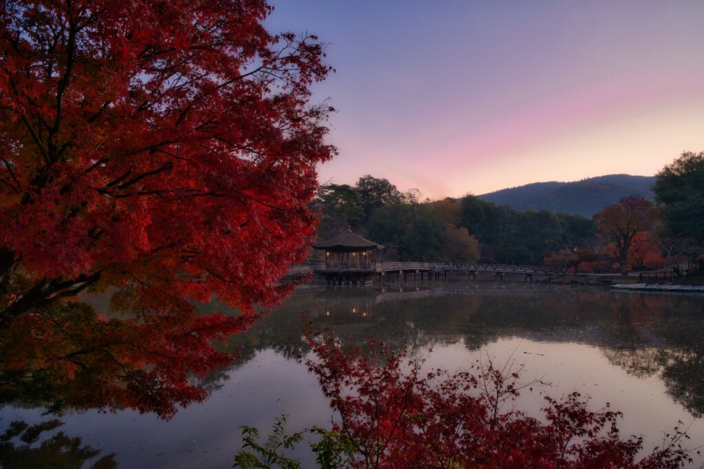 深まる秋　夜明けの浮見堂