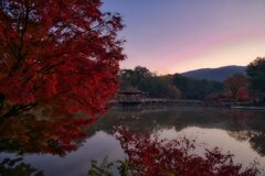 深まる秋　夜明けの浮見堂