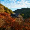深まる秋～染まる長谷寺　弐