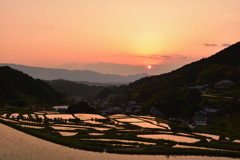 飛鳥の夕景