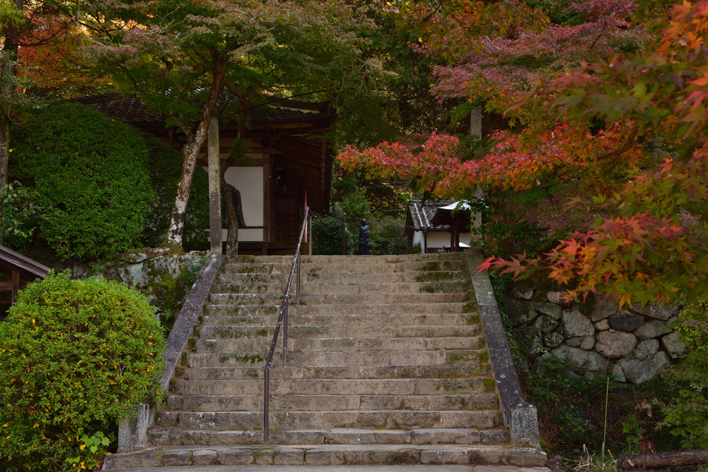 色付く長岳寺
