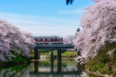 見慣れた光景が・・・・