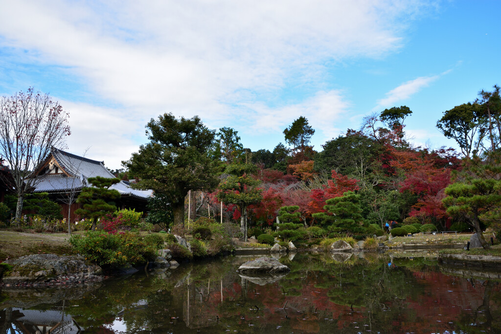 晩秋～法金剛院の庭園