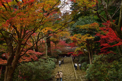 紅葉の室生寺19～鎧坂